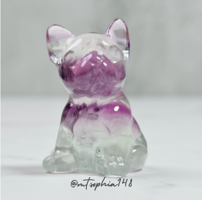 【2/23-3/1】Special Offer 15%OFF