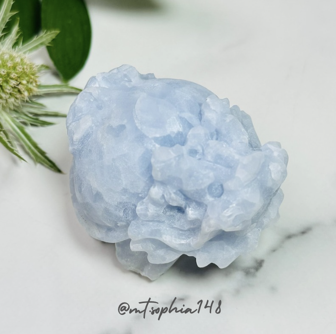 【2/16-2/22】Special Offer 30%OFF