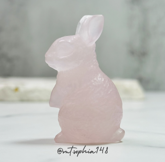 【11/17-11/23】Special Offer 15%OFF