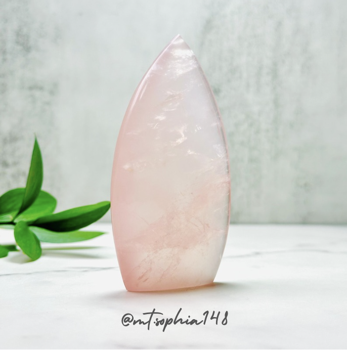 【1/12-1/18】Special Offer 15%OFF