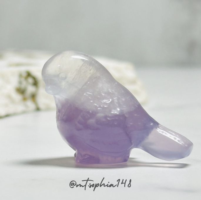 【1/19-1/25】Special Offer 20%OFF