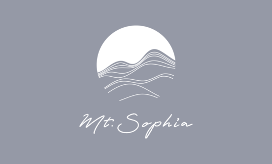 海外買付に伴う発送休止と、無責任リクエスト受付について