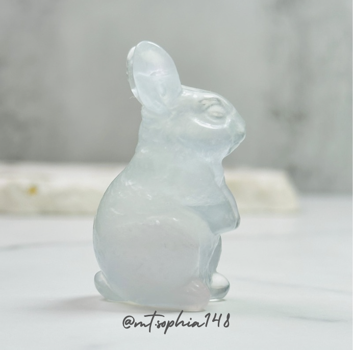 【3/9-3/15】Special Offer 15%OFF