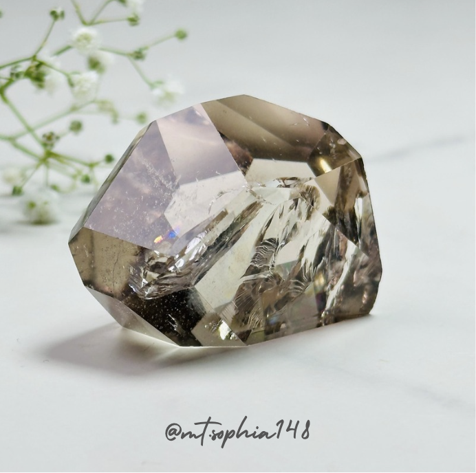 【3/2-3/8】Special Offer 15%OFF