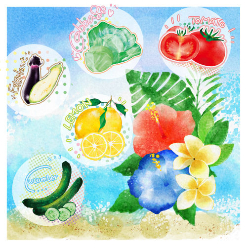 お野菜と果物とハイビスカス