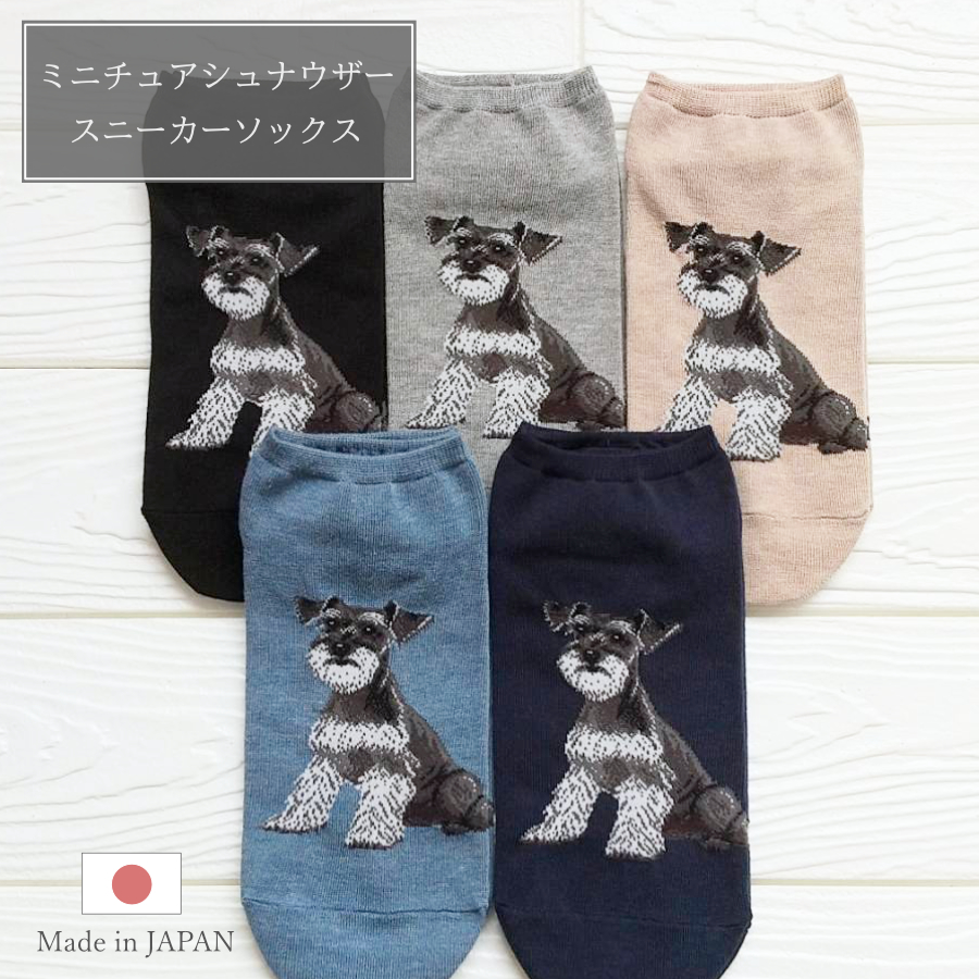 リアルワンちゃん靴下にミニチュアシュナウザーが仲間入り