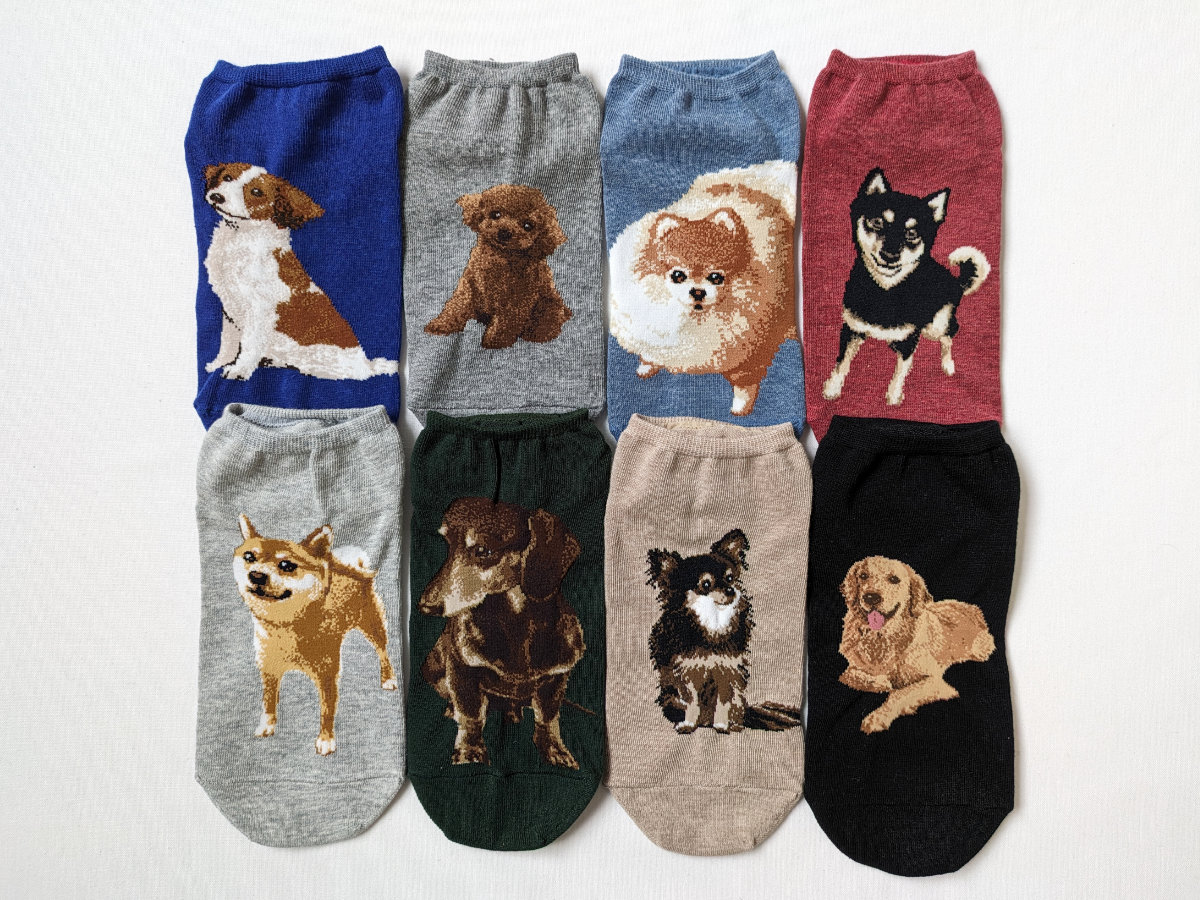 ポメラニアン、柴犬、トイプードルなど人気の犬種をリアルに描いた靴下『ワンちゃんシリーズ』を一挙ご紹介