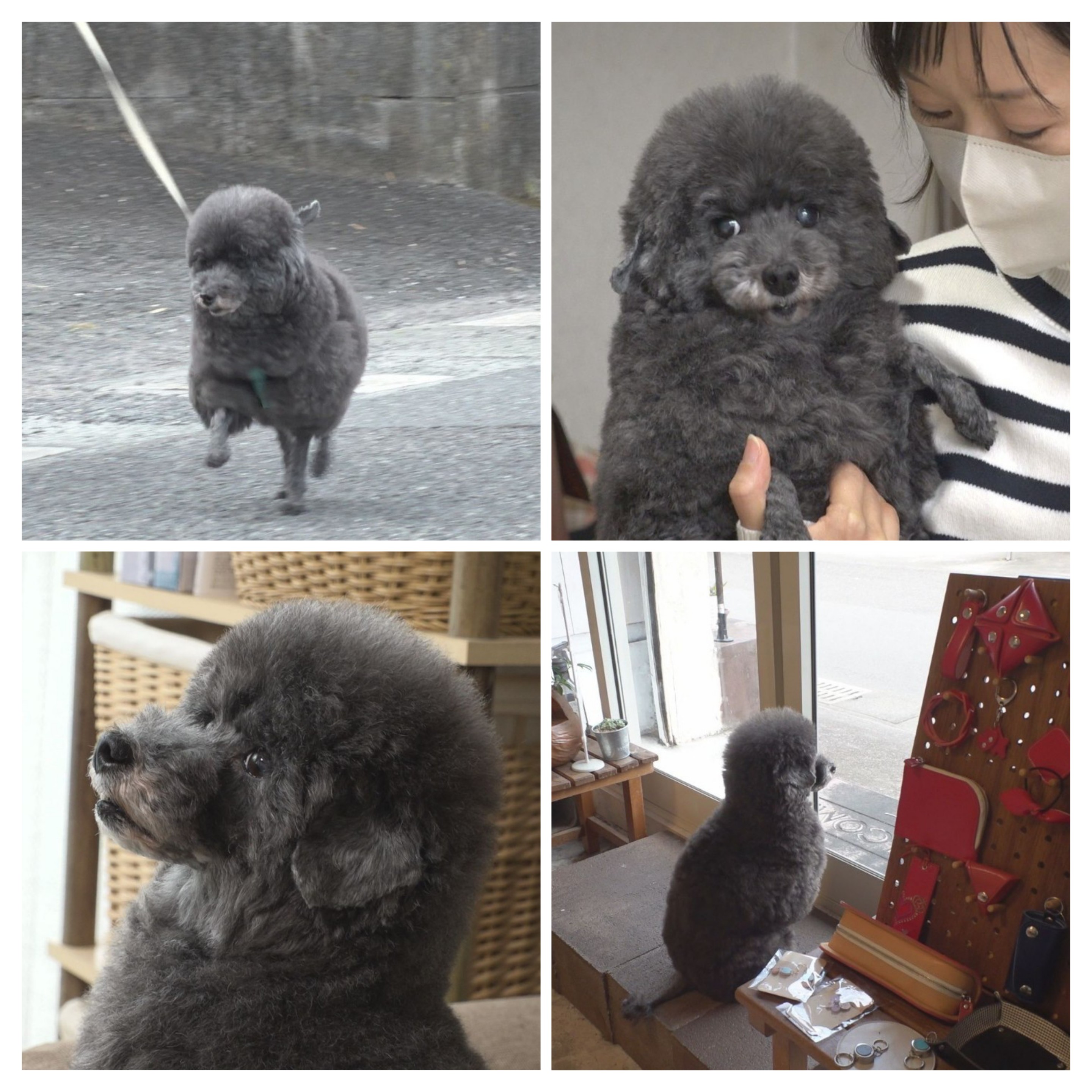 フーガTV出演！