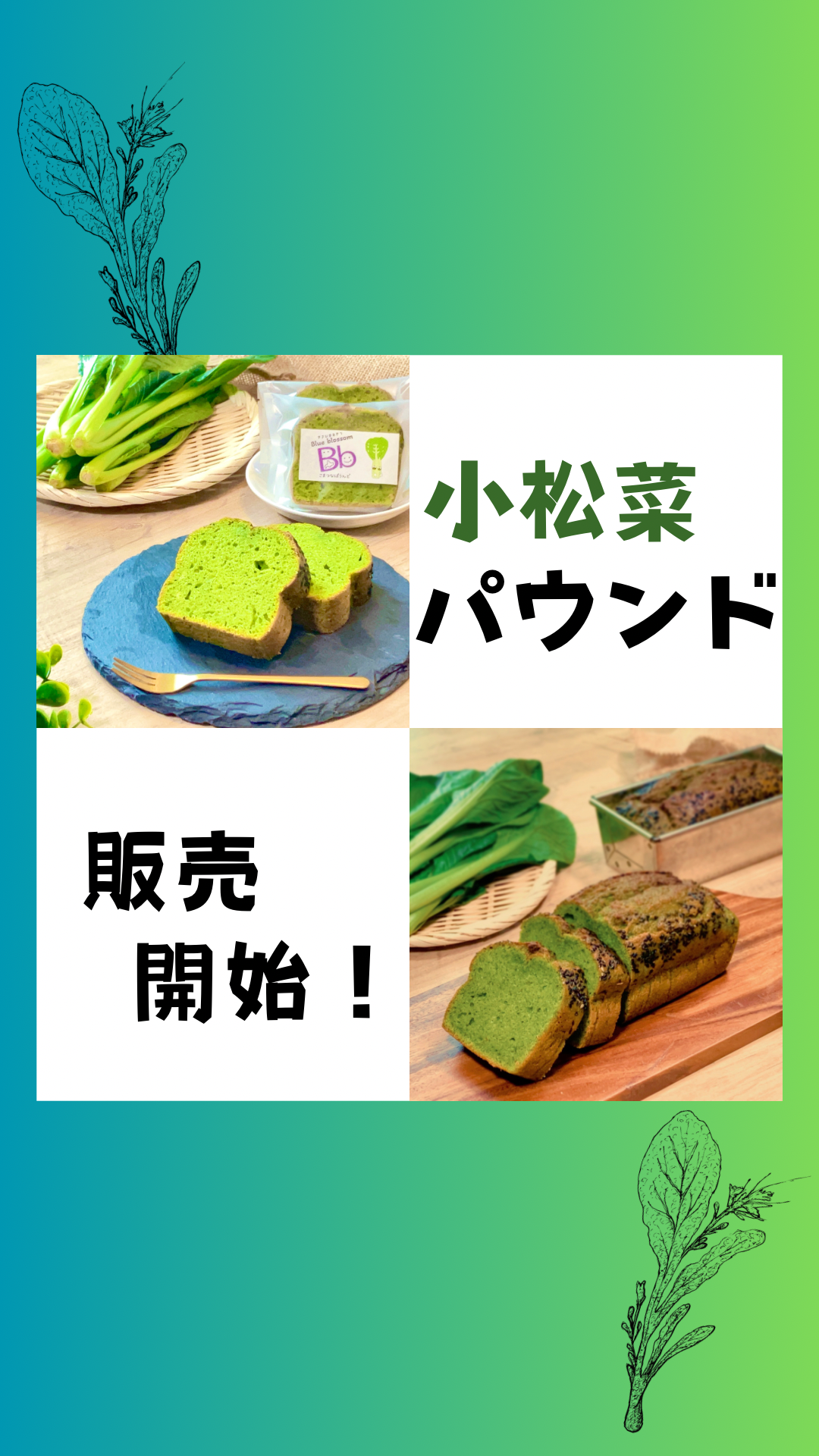 『小松菜パウンド』本日販売開始(๑•̀ㅁ•́๑)✧