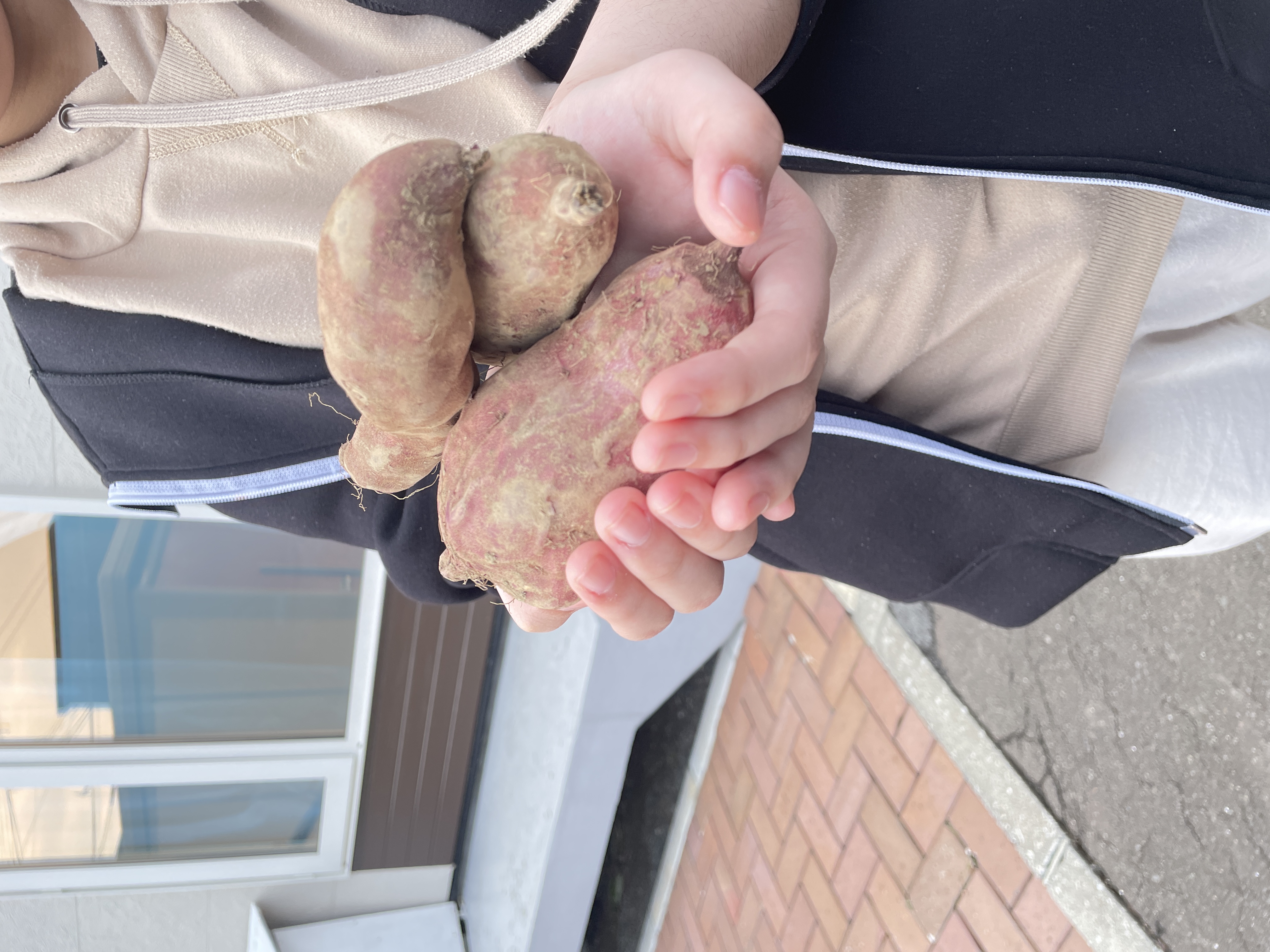 今年最後の…
