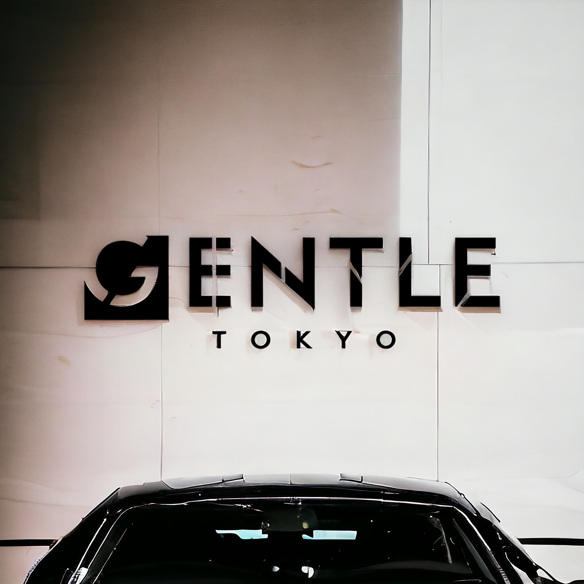 GENTLE car cosmetics