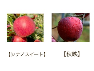 次、皆様にお届けできるりんごの紹介！