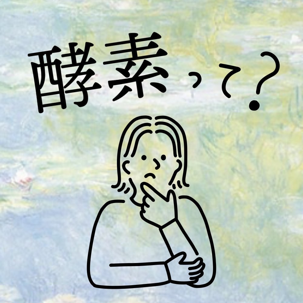 酵素って？