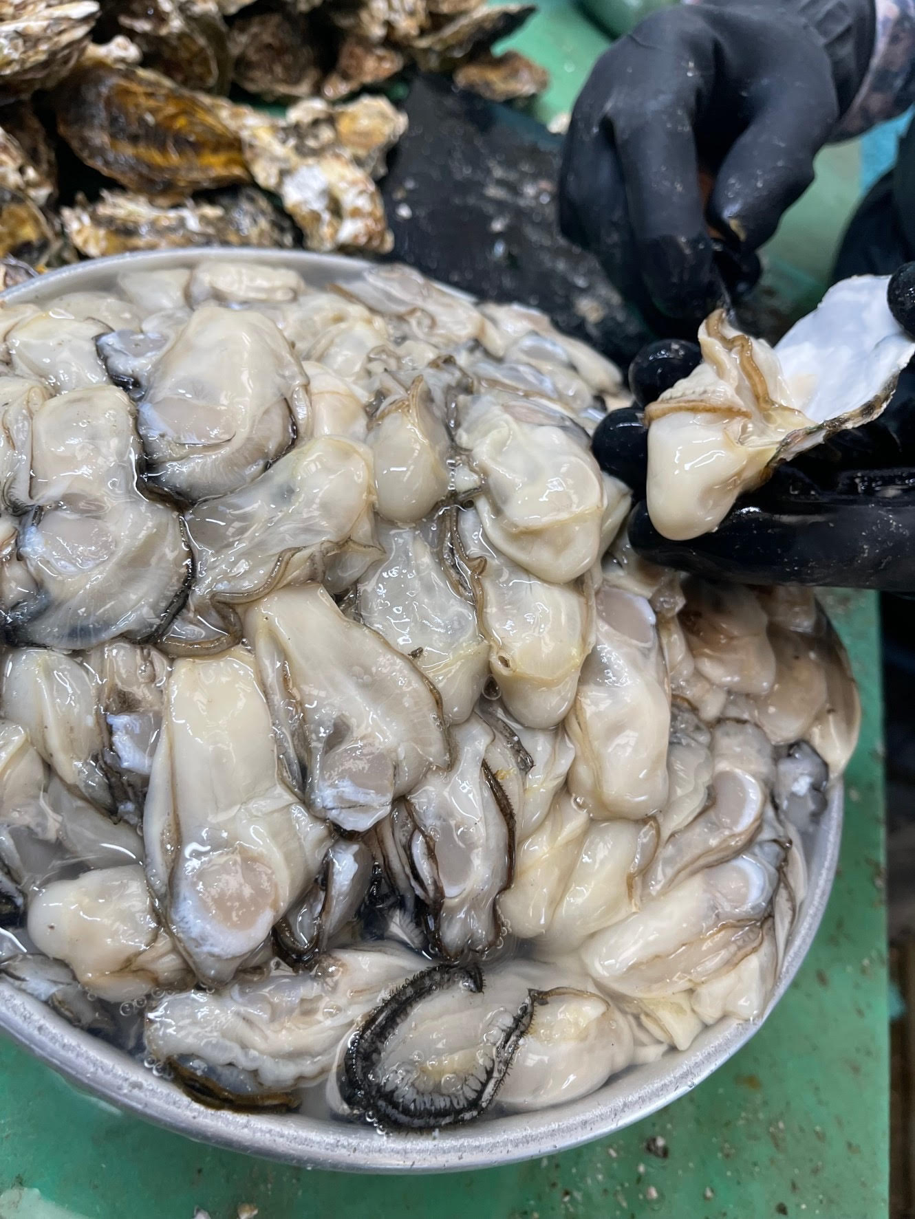 まだ生で食べれるむき身牡蠣はいかがでしょうか？