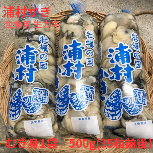 9月1日より予約受付開始！