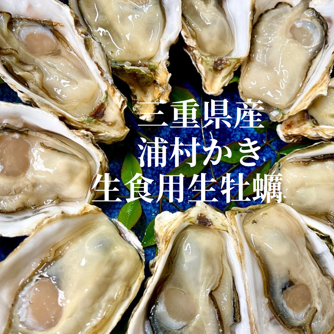 (株)浦村シーファーム、殻付き牡蠣、再販売です。