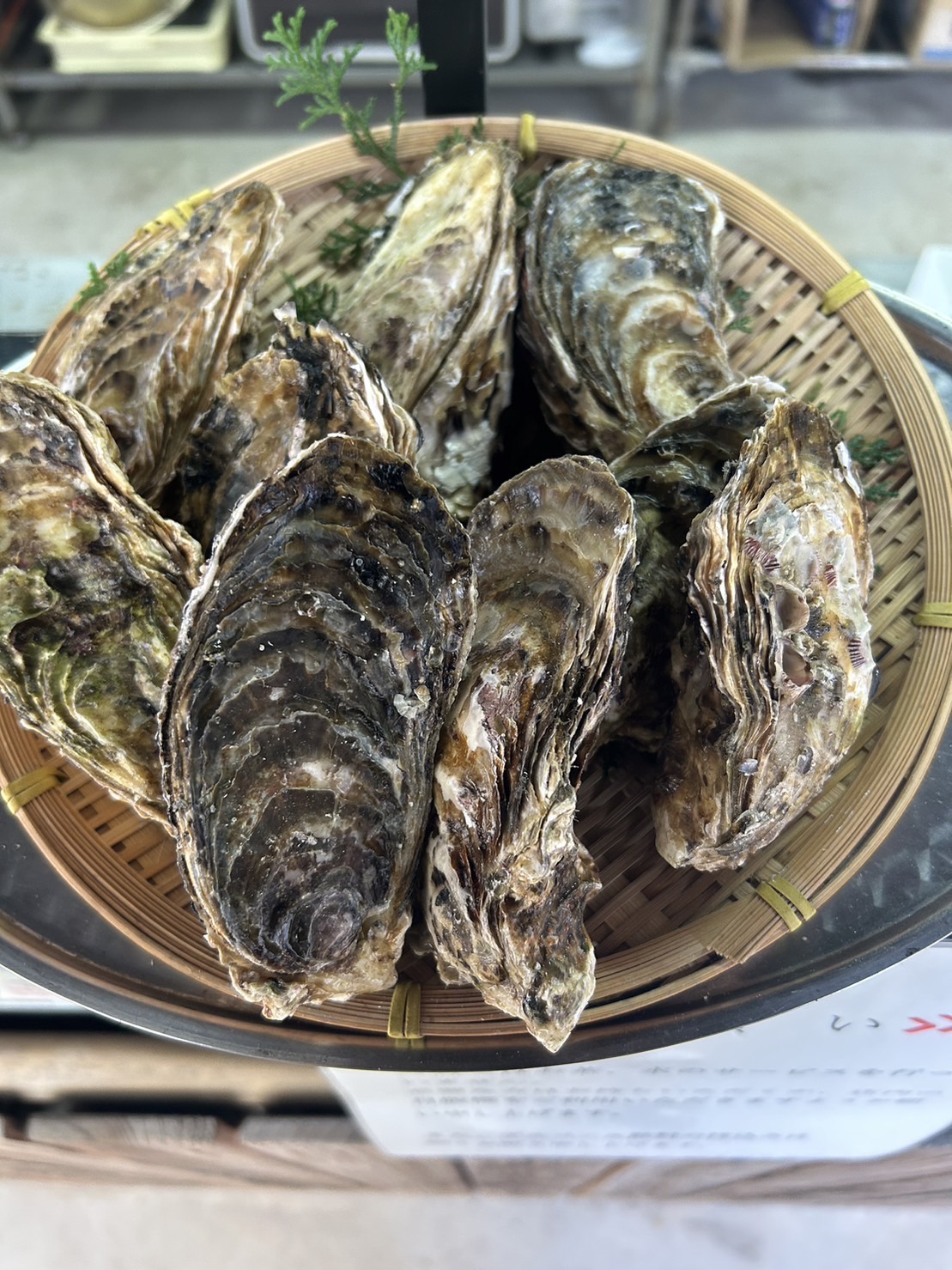 4月の牡蠣は大きいですよ！ご注文お待ちしております(^^♪