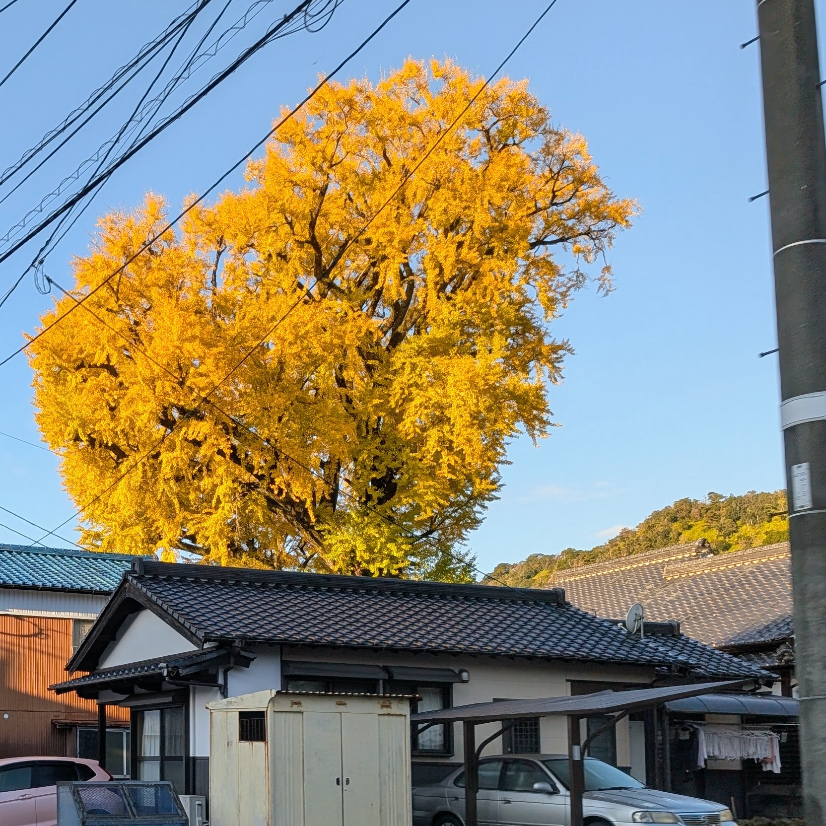 陶磁器まつり、ありがとうございました