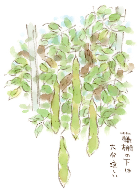 藤棚の下