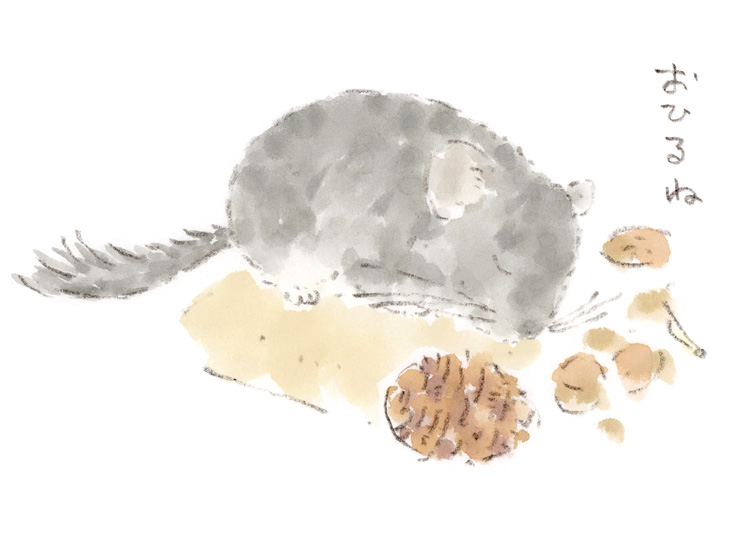 お昼寝中のチンチラ