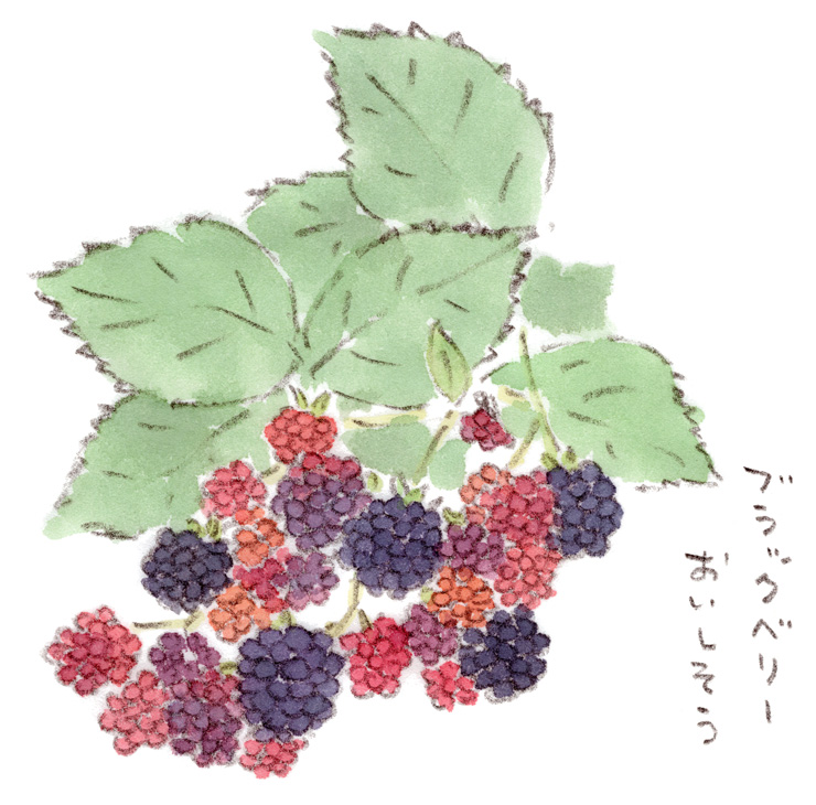 ブラックベリー