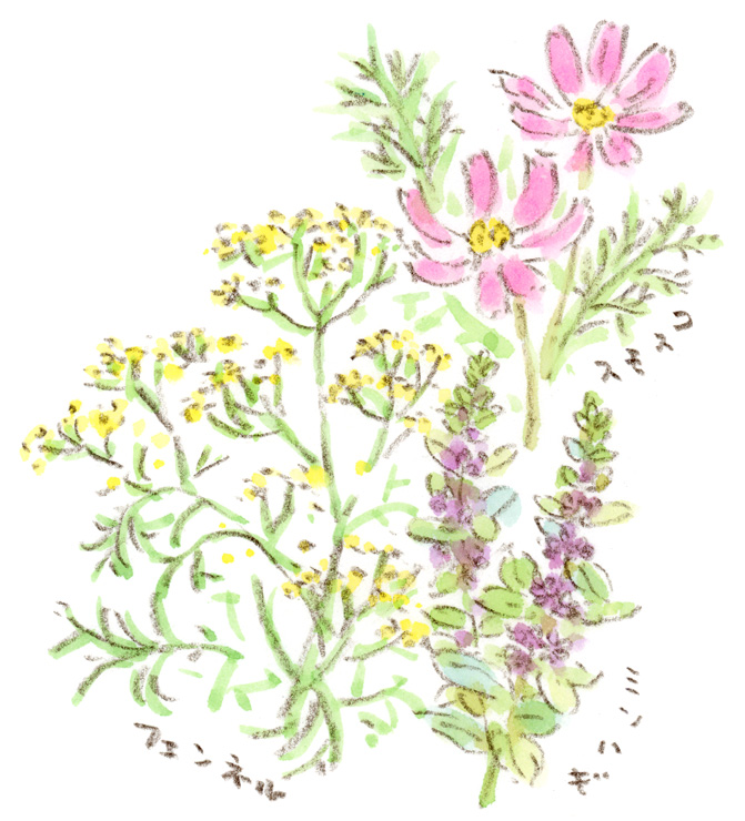 散策スケッチ-花畑にて