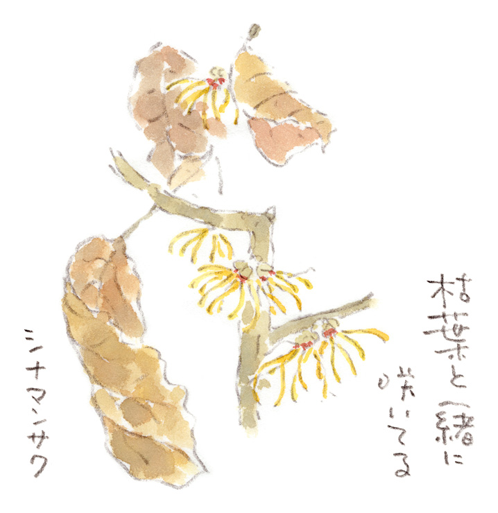 枯れ葉と一緒に