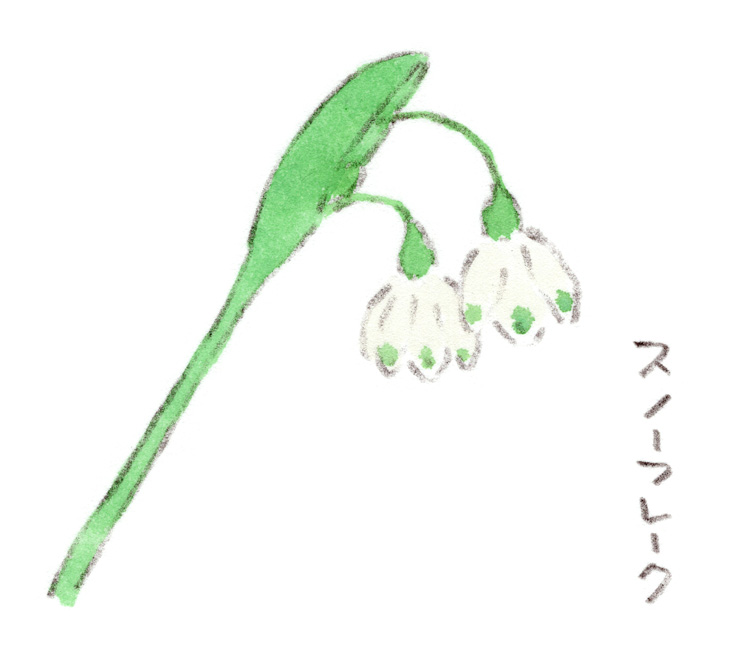 スノーフレーク