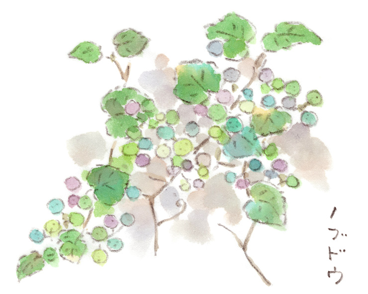 宝石みたいな彩りの実