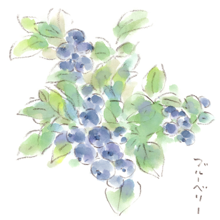 ブルーベリー