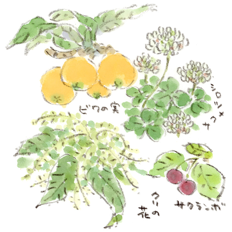 最近のマイブーム