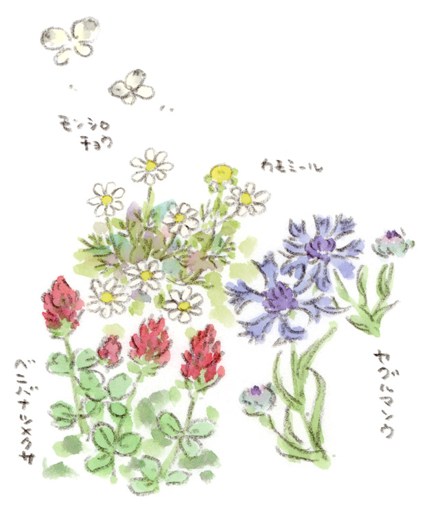 初夏の庭