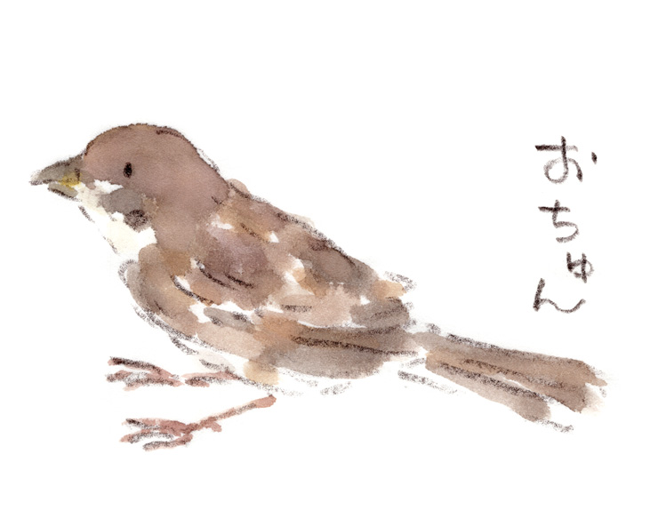 スズメのおちゅん