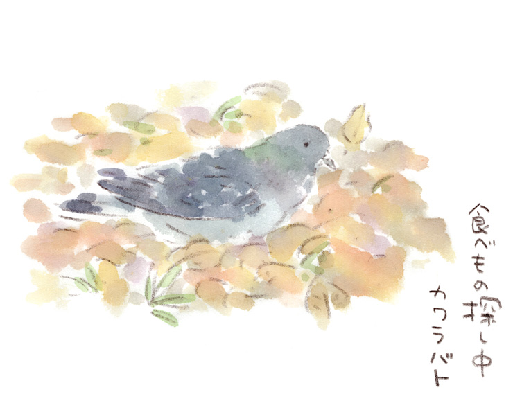 林の中のはとぽっぽ