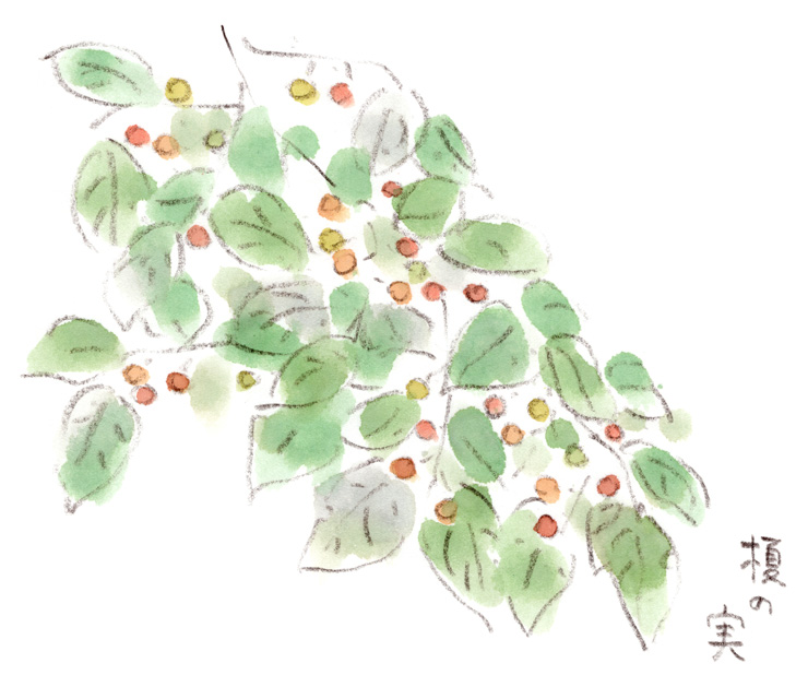 エノキと木偏の春夏秋冬