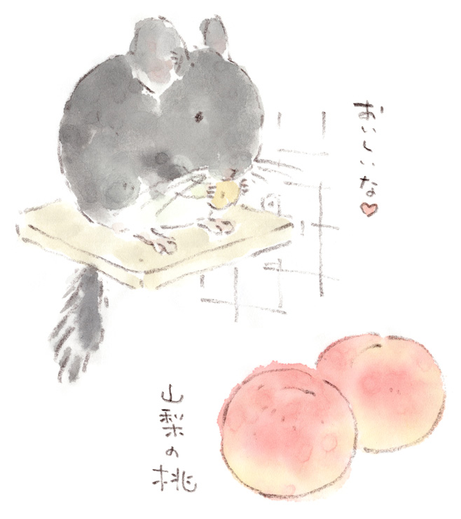 桃とチンチラ（福ちゃん）