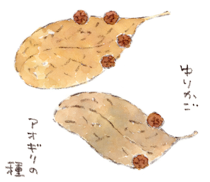 風に乗るゆりかご