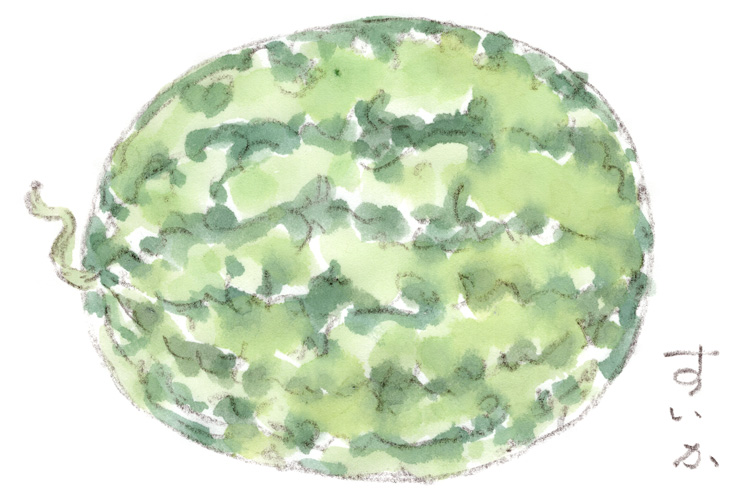 昨日のスイカ話の続き