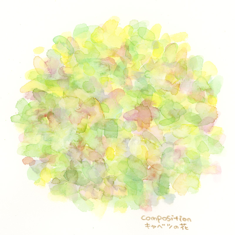 色彩スケッチ-キャベツの花