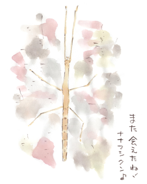 お久しぶり！な夕方