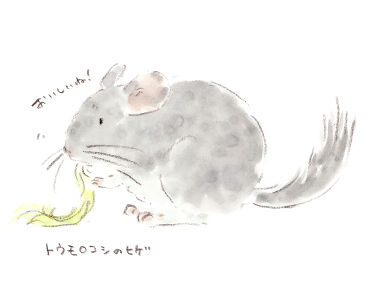 トウモロコシのヒゲとチンチラ