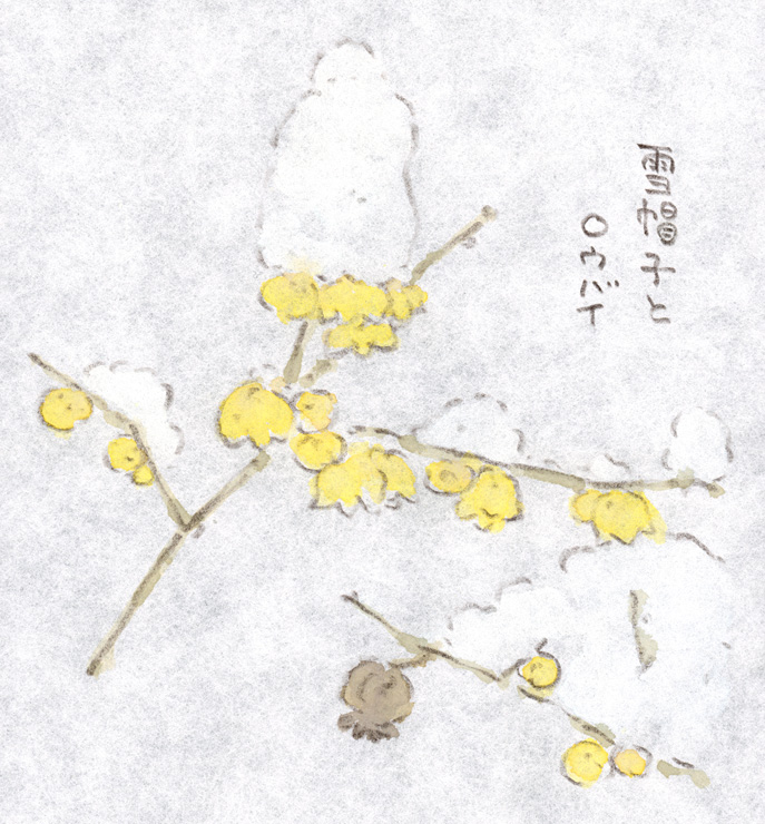 雪帽子とロウバイ