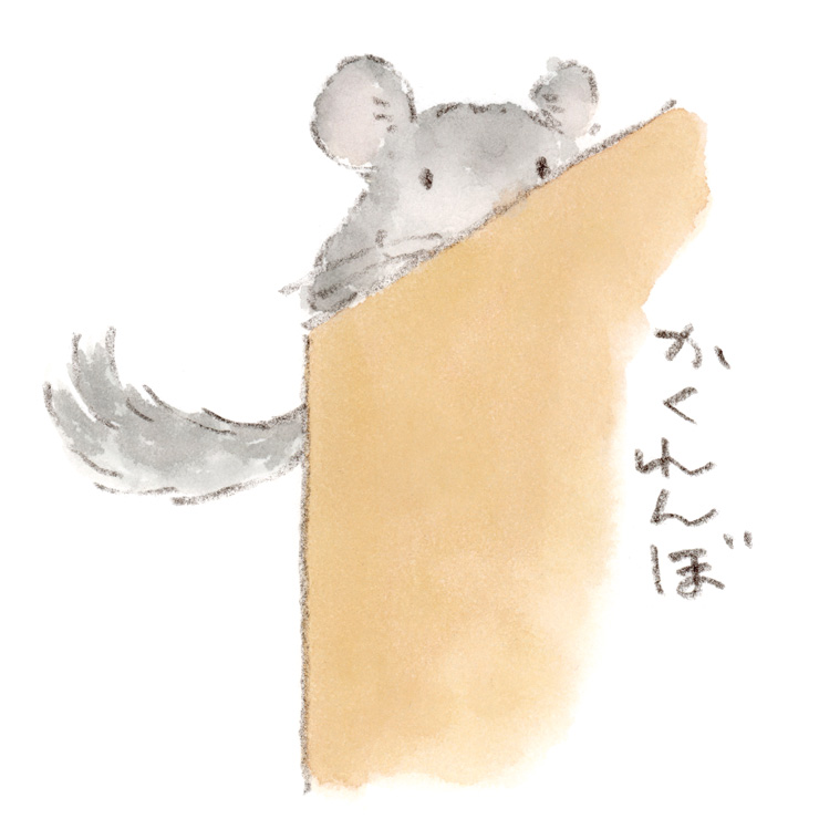 階段下でかくれんぼ