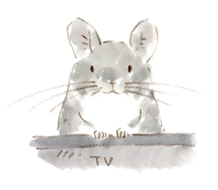 テレビに上ったその訳は