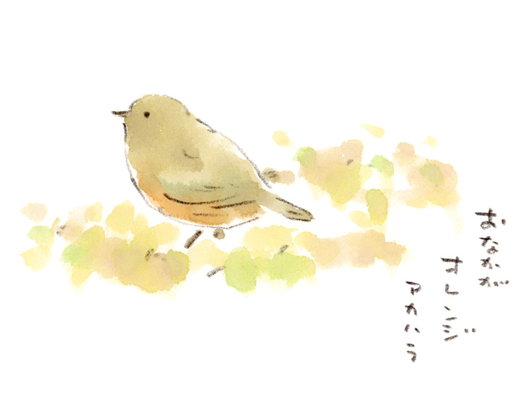 お腹がオレンジ色の野鳥