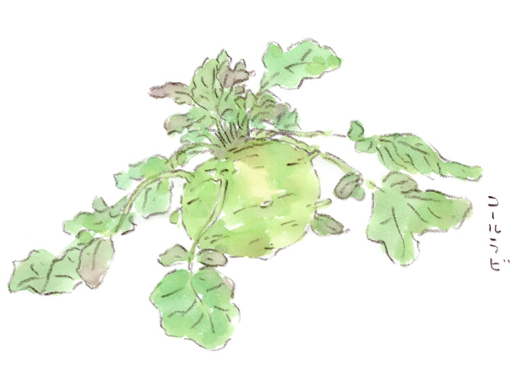 ユニーク野菜
