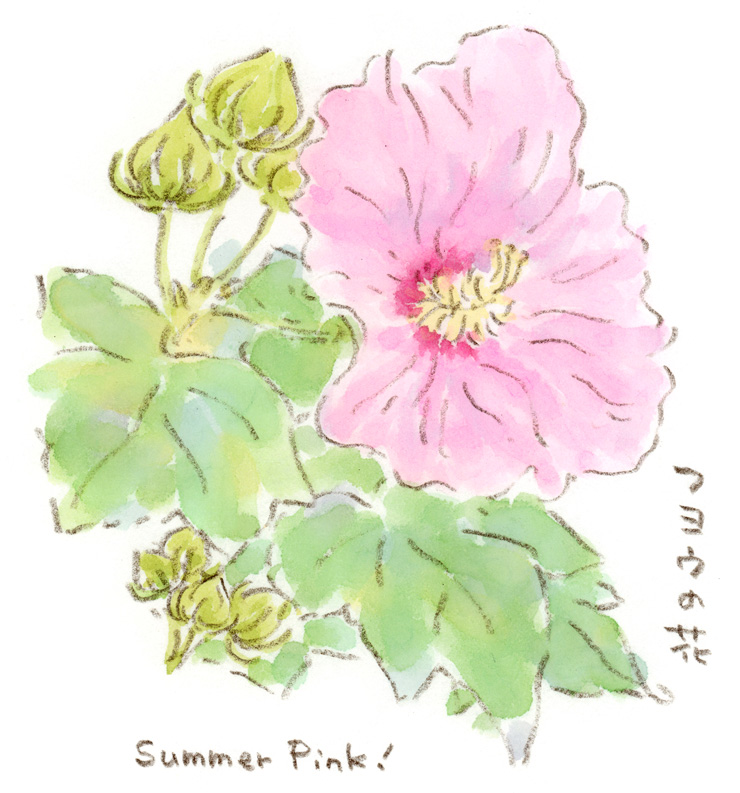 芙蓉の花