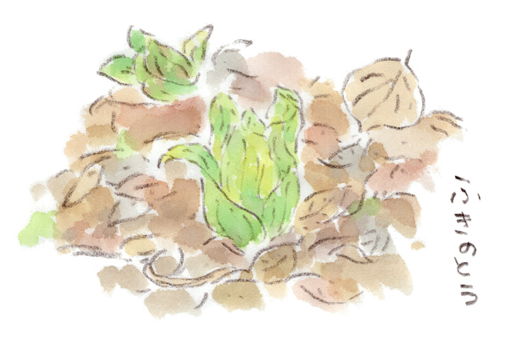 フキノトウ その2