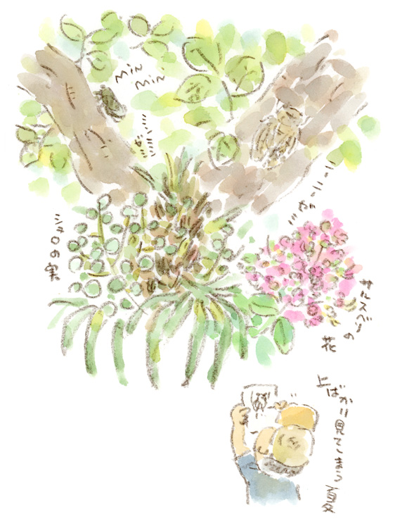 散策スケッチ-夏の緑道