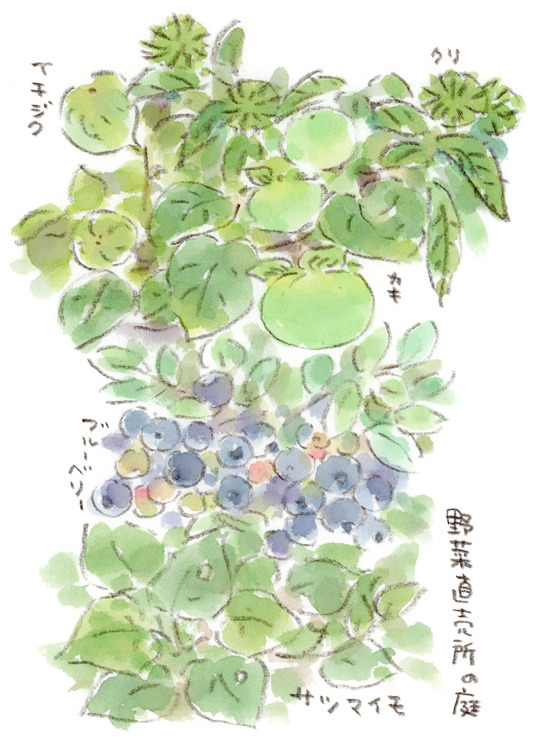 散策スケッチ-野菜直売所にて